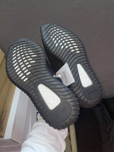 椰子350,黑粉!