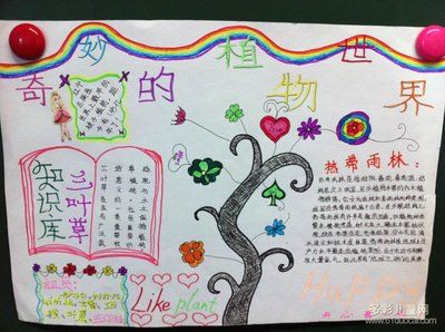 给植物做一份手抄报 植物园手抄报