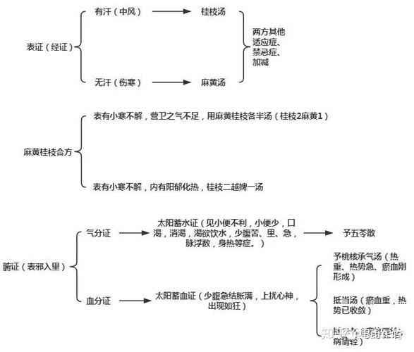 郝万山讲伤寒论第二讲——太阳病证候分类和治法,条文