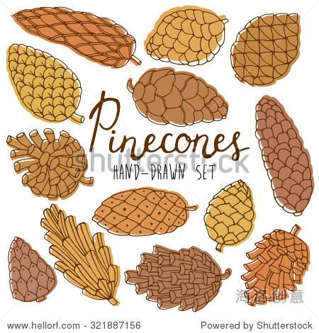 pine cones collection.