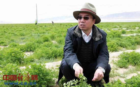 怀念西藏阿里地区噶尔县委书记张宇