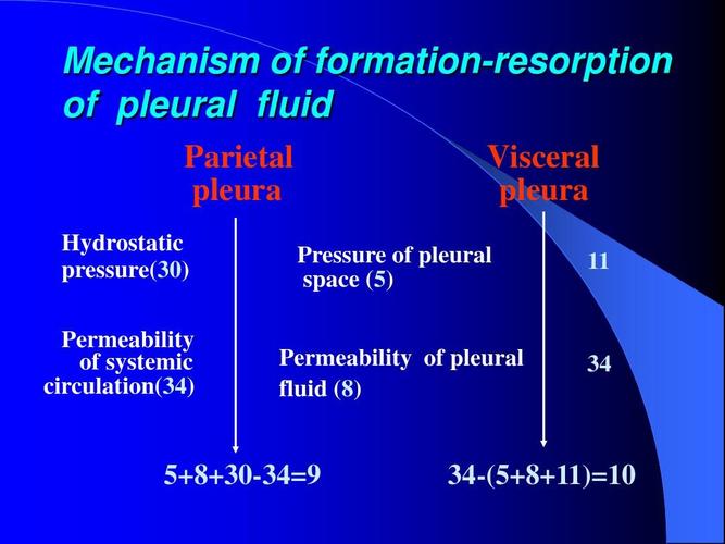 of formation-resorption of pleural fluid parietal pleura hydro