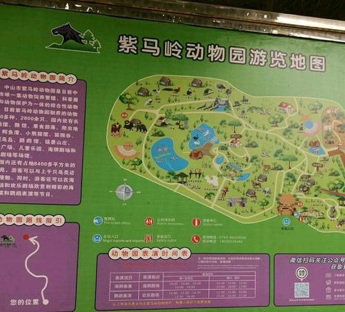 中山紫马岭公园,号称中山最大的动物园!
