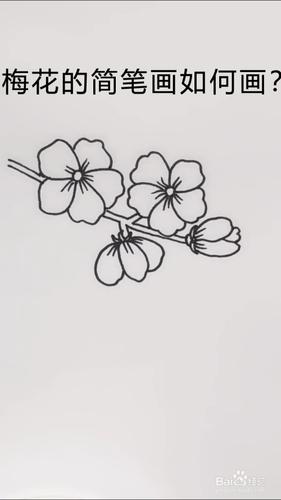 梅花的简笔画如何画?