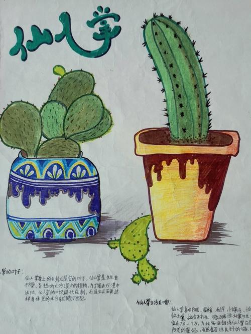 天津市河北区少年儿童"自然笔记创作"学生作品精品展