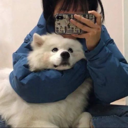 对象不是人系列情侣头像