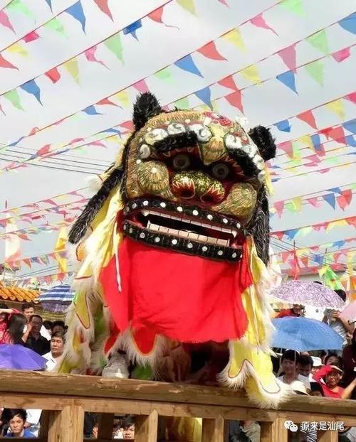 虎狮在汕尾