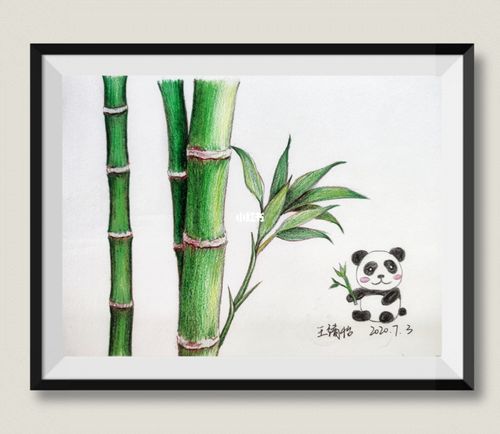[儿童画-彩铅]竹子,熊猫_彩铅_儿童画_熊猫_熊猫怎么样_素描_铅笔