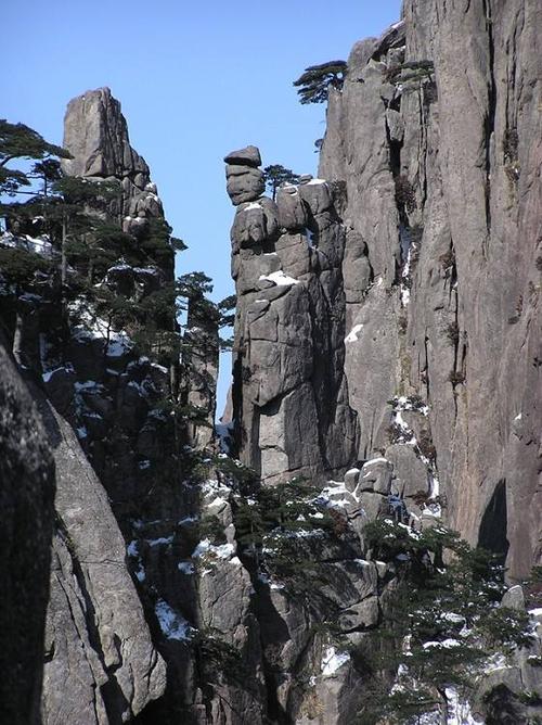 这就是狮子抢球!