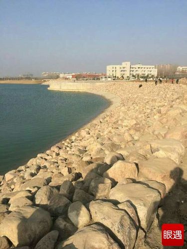 全新郸城人民公园