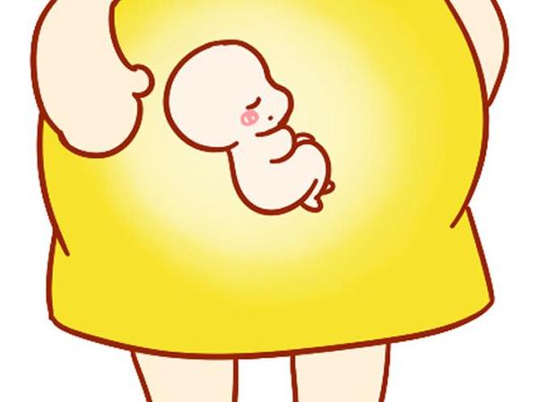 如何机智的回答宝宝"我从哪里来的?