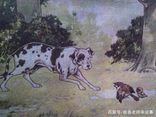 俄国著名作家屠格涅夫在《麻雀》一文中这样写道:……猎狗慢慢地走近