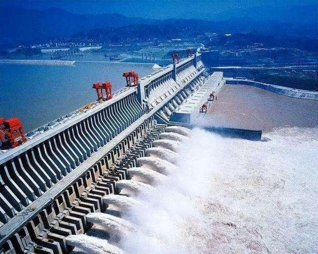 长江中的神秘物种鳤十年禁捕若不保护将无鱼可吃