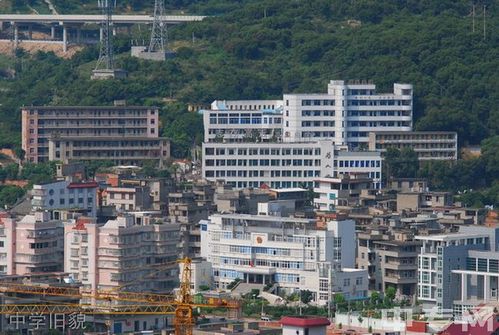 长乐高级中学[普高]-校园风光13