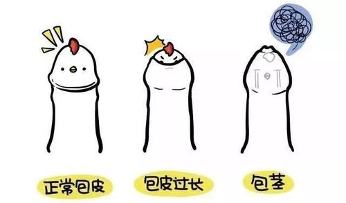 什么是包茎和包皮过长?