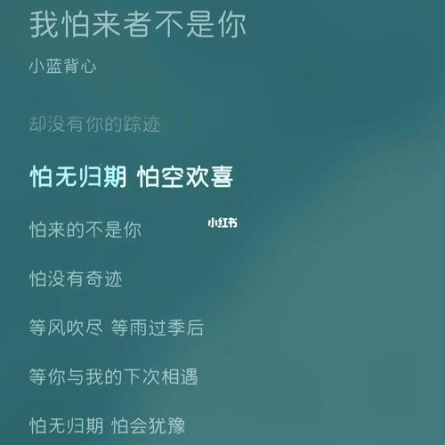 《我怕来者不是你》抄袭《相对忘机》歌词