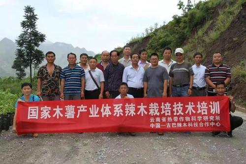 深耕"八要素" 产业创"奇迹"——晴隆县长流乡创新组织