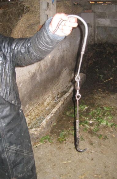 高清组图 农村杀猪全过程