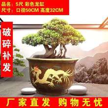 龙缸特大号陶瓷花盆铁树盆大型龙缸陶土花盆庭院种树陶瓷花盆厂家
