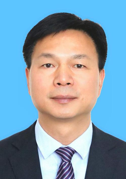 现任南京市江宁区副区长 /p>