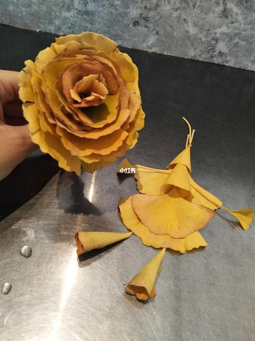 凑个热闹_银杏_网红银杏叶_兴趣爱好_手工