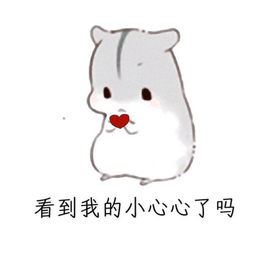 小仓鼠萌萌哒