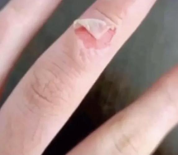 最全愚人节表情包,各种套路都有,快拿去整人!