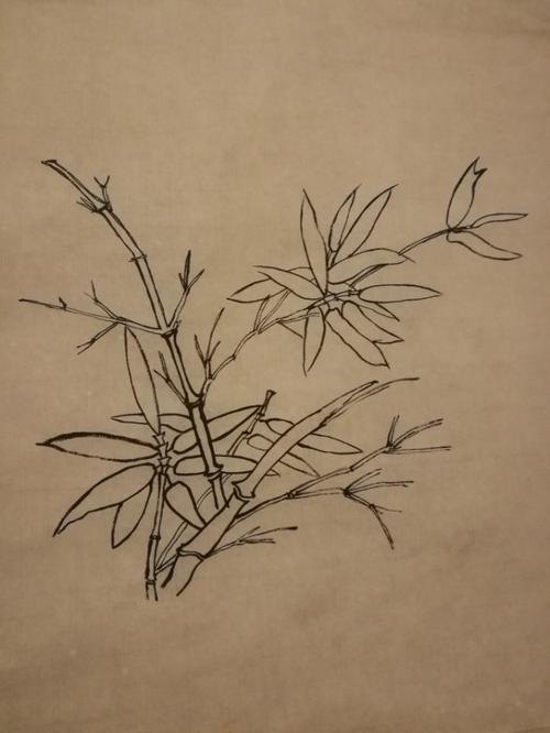 工笔白描竹