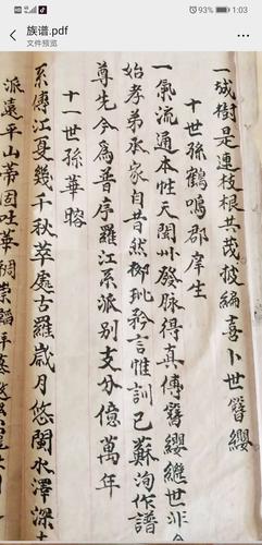 塘蓬黄氏族谱(钦州兄弟传回)