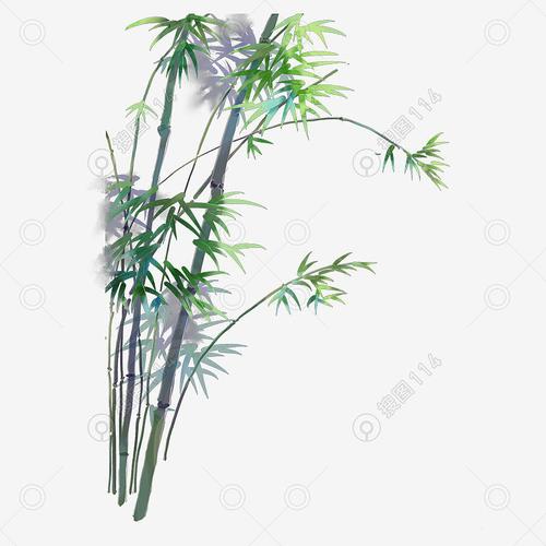 中国风装饰手绘竹子翠竹