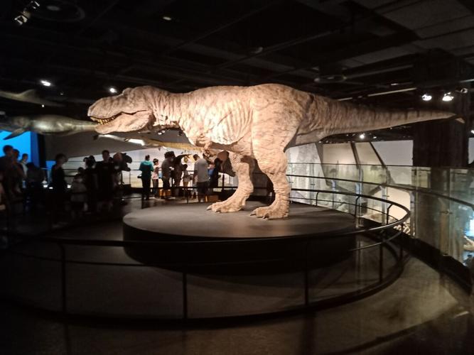 浙江自然博物馆(安吉馆)_自然博物馆_博物馆_夏天去哪