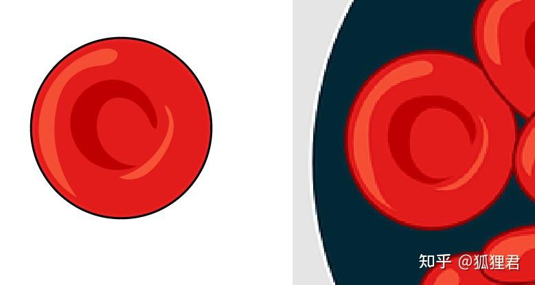 用ai绘制2d和3d版红细胞