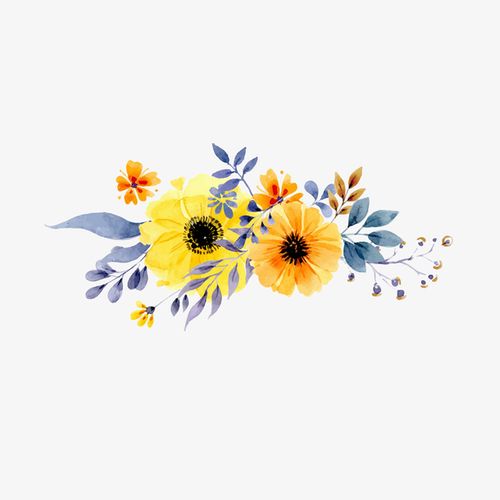 鲜花花簇矢量图下载