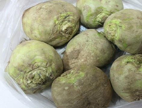 168牧卉 花卉种植 芥菜头图片 新鲜辣菜疙瘩5斤芥菜头,东北芥菜泡菜