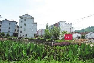 "五化"并进,全面加快了新农村建设步伐,从而成为我县新农村建设的