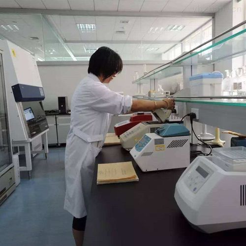 hm-sp-食品检测仪器设备有哪些