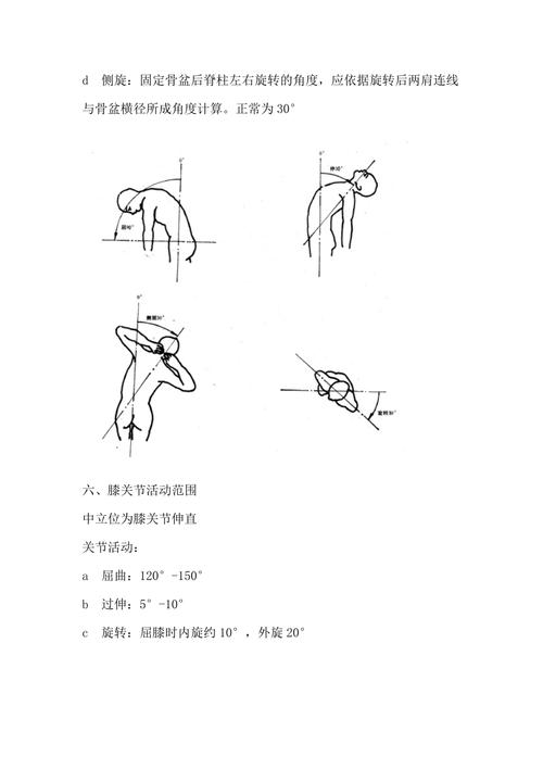 正常人体关节活动度