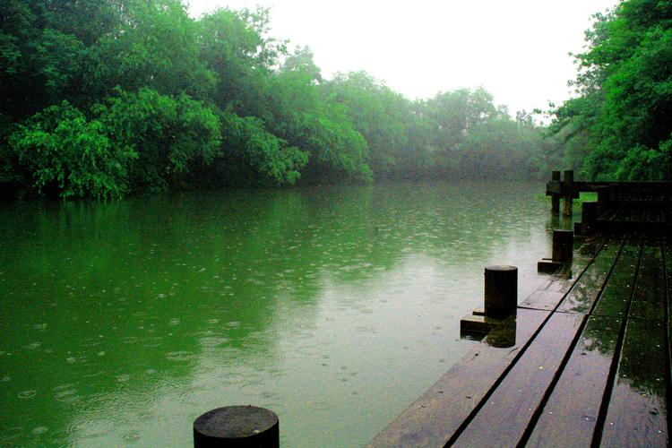 描写小雨的精彩片段,又似浅浅的小溪,缓缓的流进心底