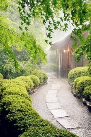 和风细雨
