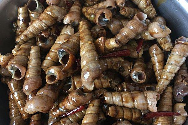 爆炒锥螺怎么做_爆炒锥螺的做法_豆果美食