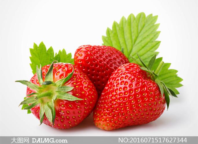 绿叶点缀的大草莓特写摄影高清图片