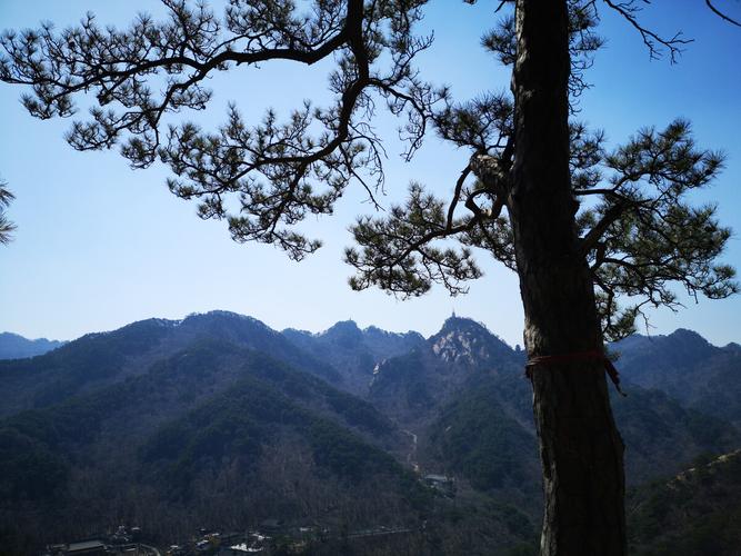 劲松