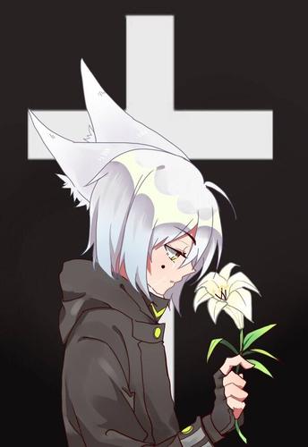 国漫【凹凸世界】鬼狐.(个人脑洞:是在为莱娜伤心吗?