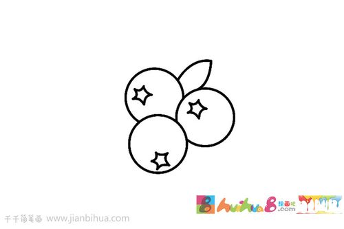 蓝莓简笔画教程