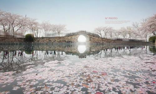 k87 途经锡惠公园,终点站到达鼋头渚风景区犊山大门.