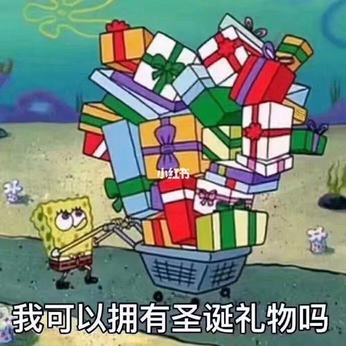 我想我的圣诞礼物要这样子的_圣诞礼物_搞笑的日常