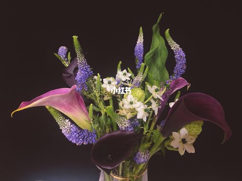 彩色马蹄莲插花_插花_马蹄莲_家居家装_家居装饰