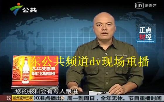 广东公共频道广东公共频道dv现场重播