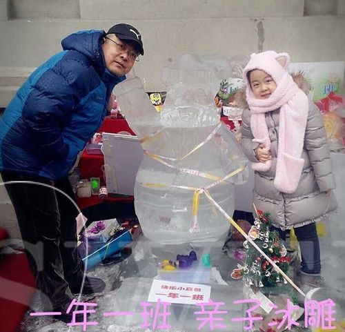 【喜报】小学生冰景赛,除了人气高的,他们也获奖啦!