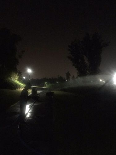 园区里乔灌木晚上12点开始浇水